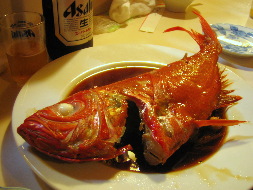 fukuchan03.jpg